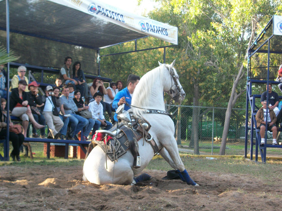 caballosbailadores
